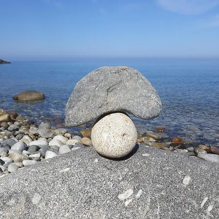 L' Elicriso Marciana (Isola d'Elba)