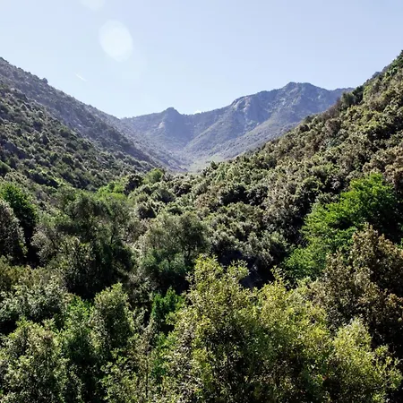 Сasa de vacaciones L' Elicriso