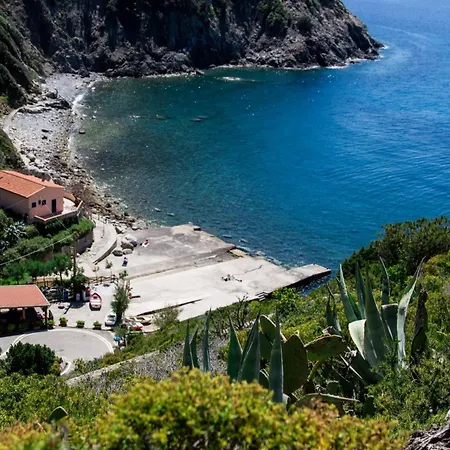 L' Elicriso Tatil Evi *
