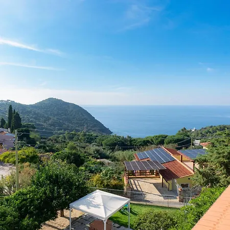 L' Elicriso Marciana (Isola d'Elba)