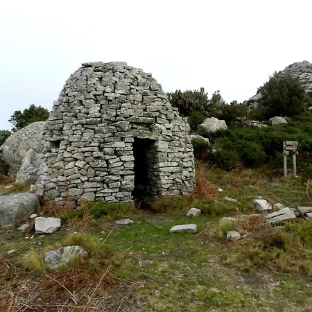 L' Elicriso Marciana (Isola d'Elba)