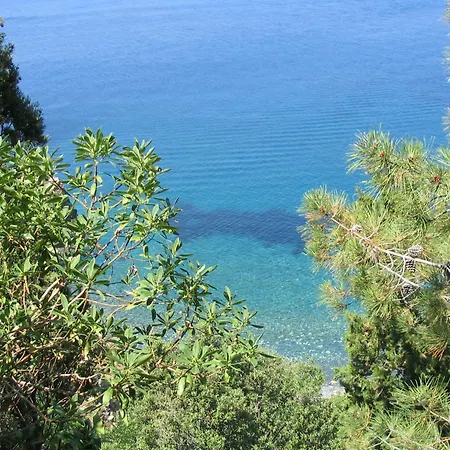 Tatil Evi L' Elicriso *